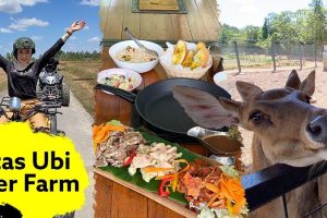 Batas Ubi Deer Farm