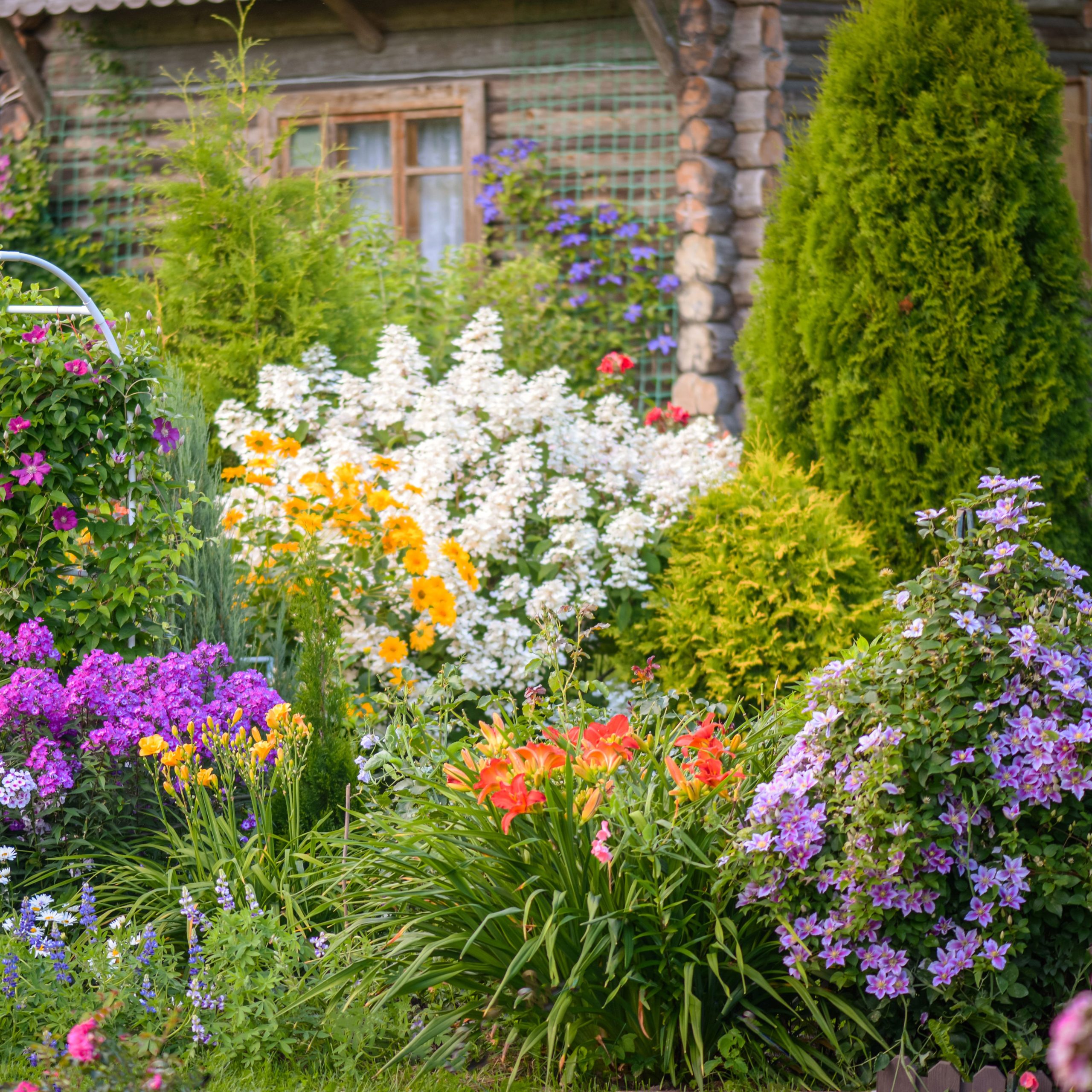 cottage garden scaled