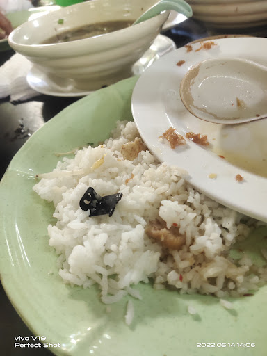 D'POHON BULUH, Kg Neting, Pengkalan Kubor