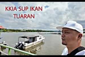 KKIA SUP IKAN TUARAN