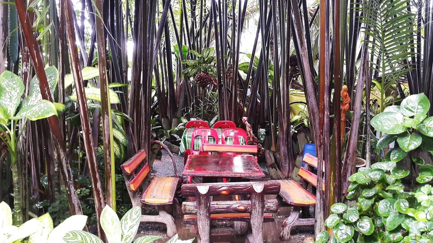 Ladang Nipah Ismail Che Kaq 1 ladang nipah ismail che kaq
