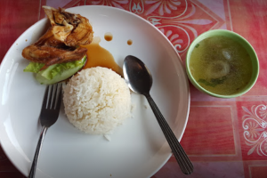 Nasi Ayam AyohKu Gong Kapas